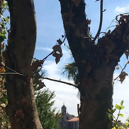 Pensionat O Xardin De Julia