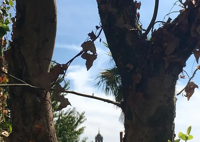 ゲストハウス O Xardin De Julia